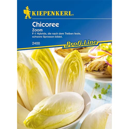 1 szt, Cikória Zoom F1 - Magok: Mod de ambalare: 1 db