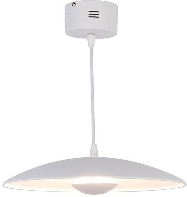Ledea Lund lampa wisząca 1x14,5W LED biała 50133055
