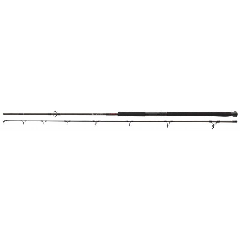 Daiwa Wędka Exceler Catfish Boje 3,30m 200-600g