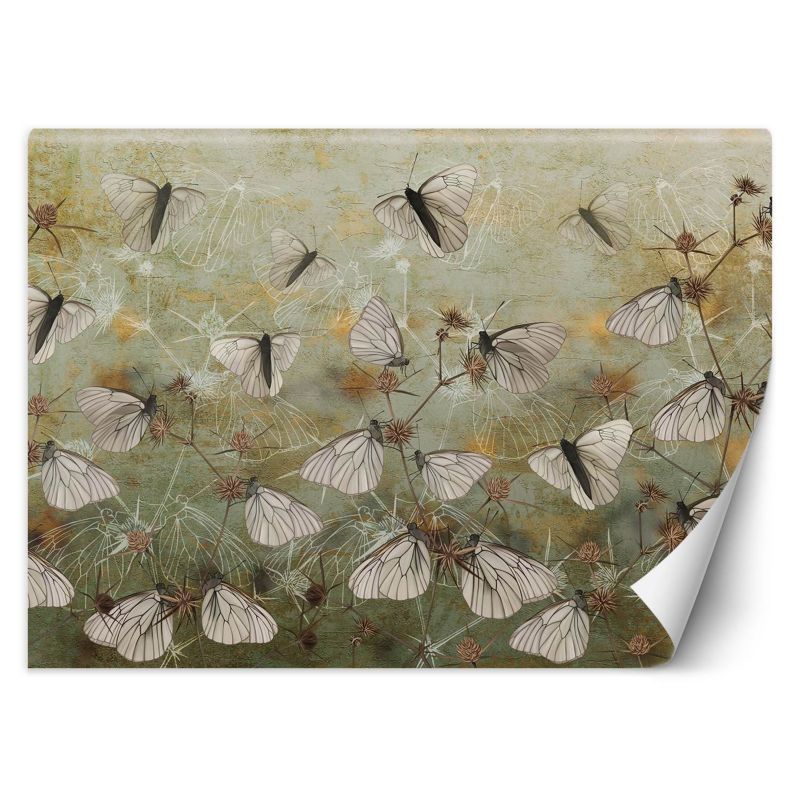 Fototapeta Feeby Motyle na tle starego muru 350x245 1 szt