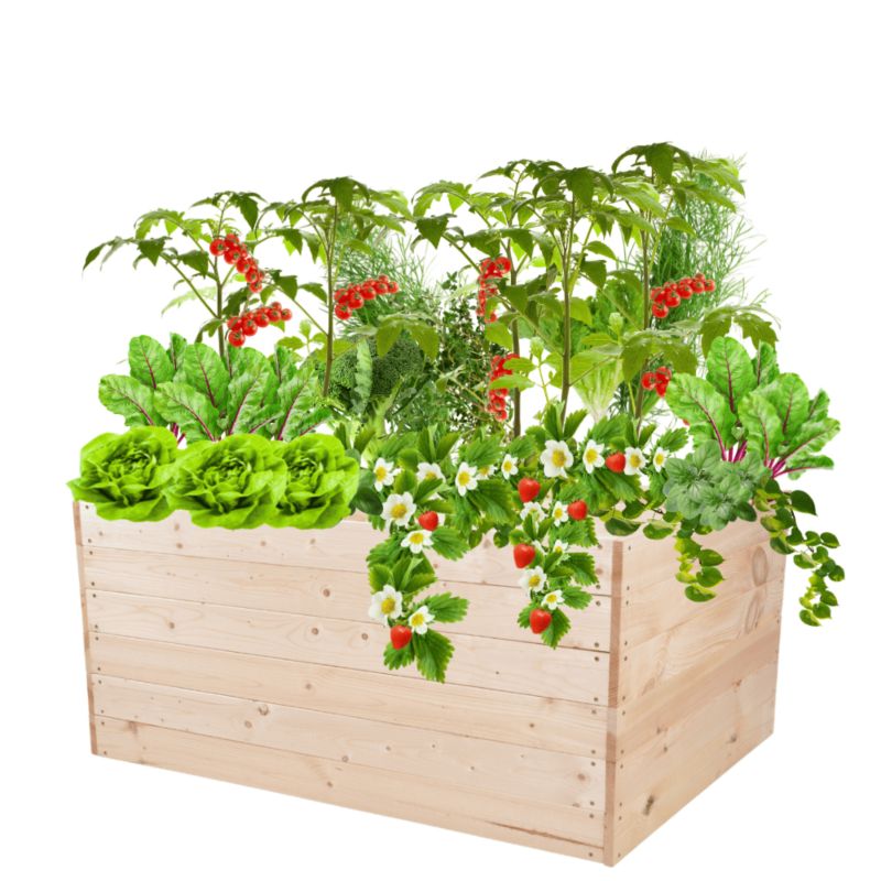 Donica na warzywa MODO24 grządka impregnowana przeźroczysta 54x120x100 cm 1 szt.