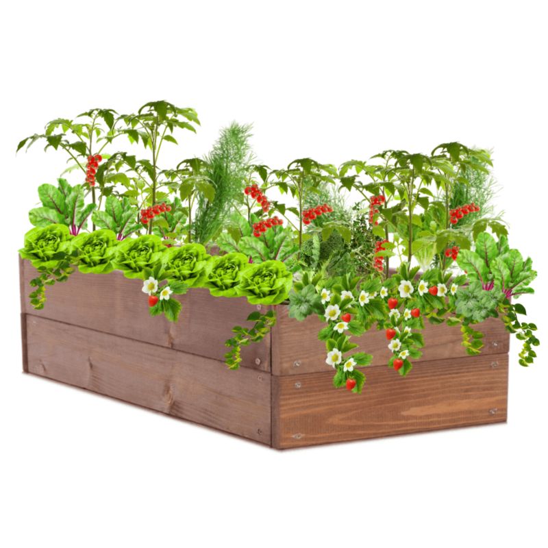 Grządka MODO24 skrzynia podwyższona brązowa impregnacja 18x120x30 cm 1 szt.