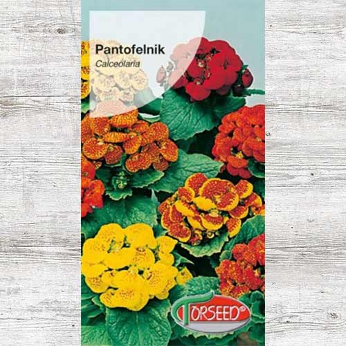 1 szt, Pantofelnik, mieszanka - Nasiona: Ilość w opakowaniu: 0.02 g