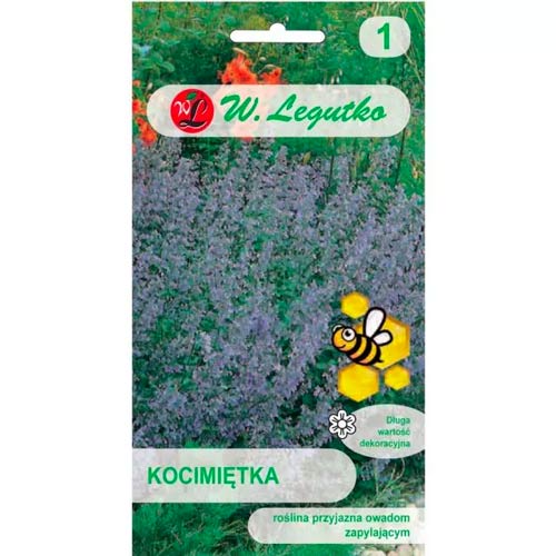 1 szt, Kocimietka niebiesko-fioletowa - Nasiona: Ilość w opakowaniu: 0.2 g