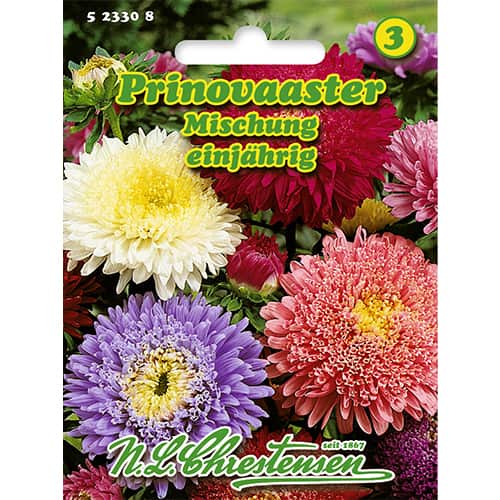 1 ob, Astra čínská knížecí velkokvětá, směs - : Monžstvo balíkov: 1 ob