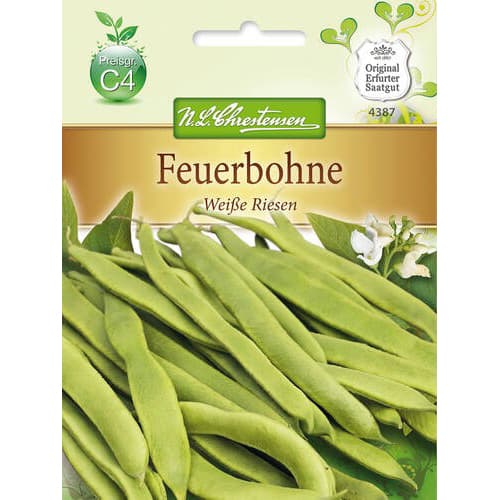 1 szt, Feuerbohne Weise Riesen - Samen: Ilość w opakowaniu: 1 Stück