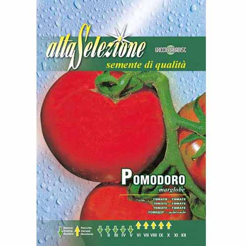 1 szt, Pomidor Marglobe Morami - Nasiona: Ilość w opakowaniu: 1.3 g