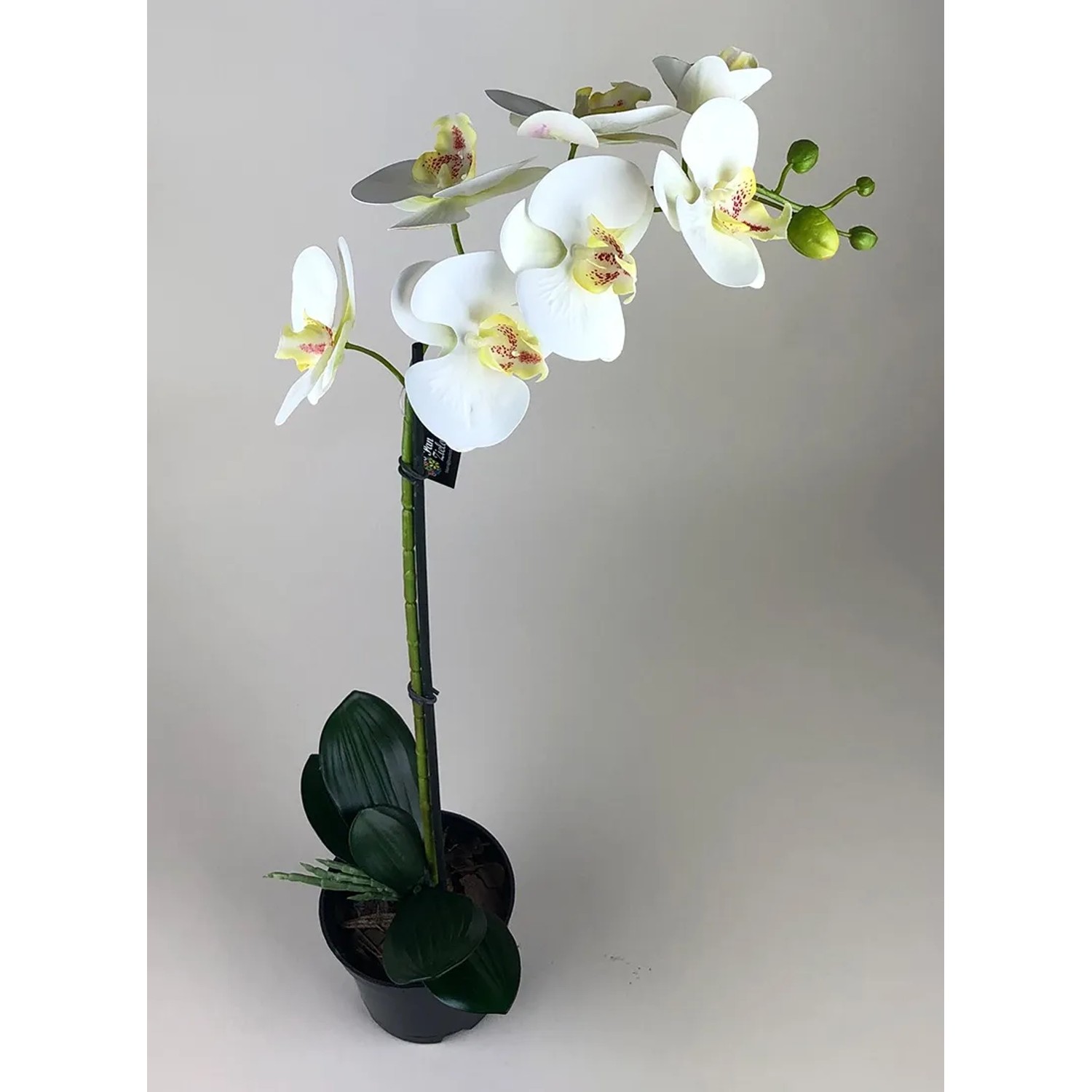 Storczyk sztuczny Premium 7 kwiatów wys. 70cm