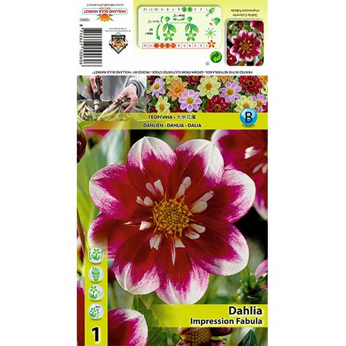 1 kus, Jiřina Impressional Fabula - : Monžstvo balíkov: 1 kus