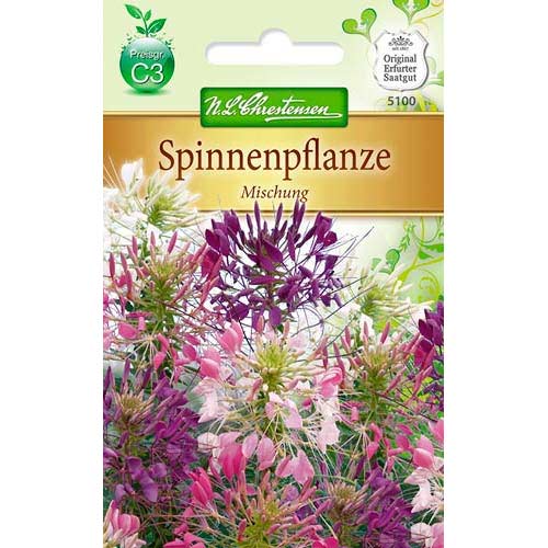 1 szt, Kleopátra tűje, színkeverék - Magok: Mod de ambalare: 1 db