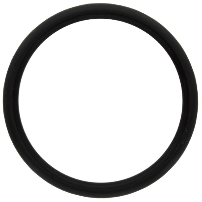 Oring Fendt X548939066000