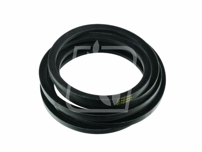 Pas 060304 22 x 6477