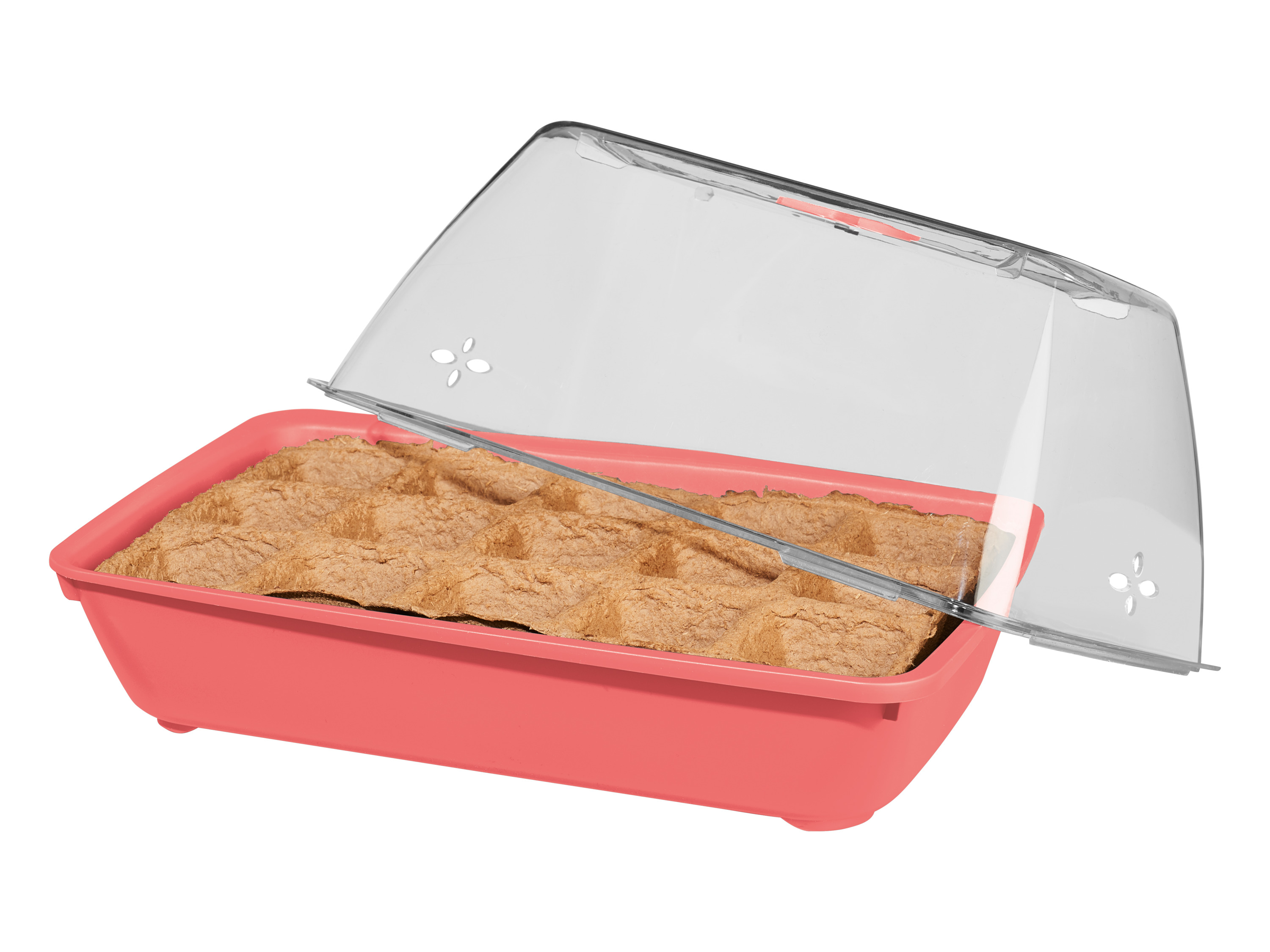 Parkside Miniszklarnia z nasionami bio Owoce jagodowe bio