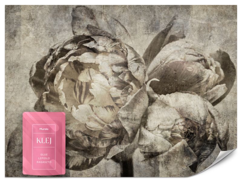 Fototapeta Muralo Kwiaty Piwonie Abstrakcja Retro 400x280 cm 1szt.