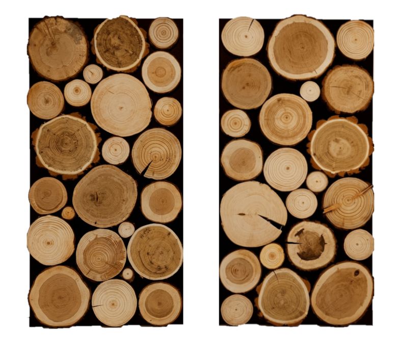 Panel ścienny dekoracyjny MODO24 drewniany z plastrów drewna mix 1 szt.