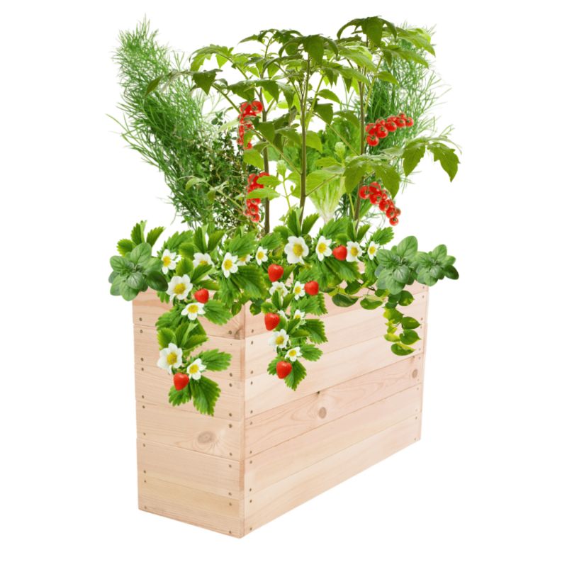 Donica na warzywa MODO24 warzywniak naturalne drewno 54x83x30 cm 1 szt.