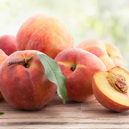 1 sadz, Brzoskwinia Suzee 699 - Sadzonki: Ilość w opakowaniu: 1 sadz