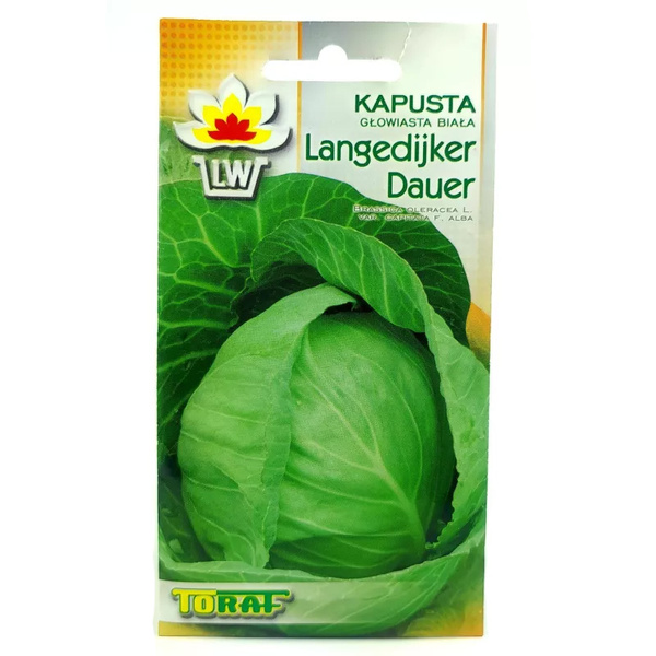 Nasiona Kapusta Głowiasta Biała Langedijska Dauer 2g