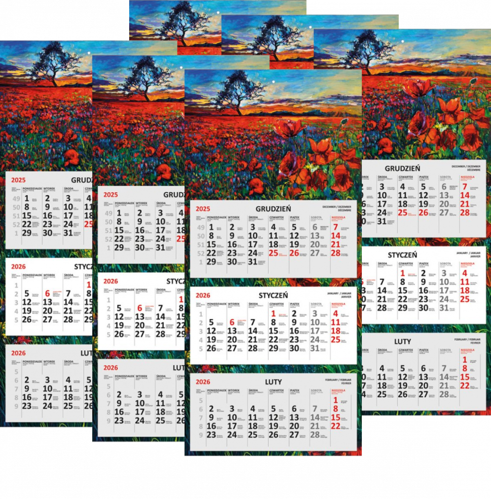 6x Kalendarz ścienny 2026, Udziałowiec, trójdzielny, 310x660mm, płaski, pejzaż