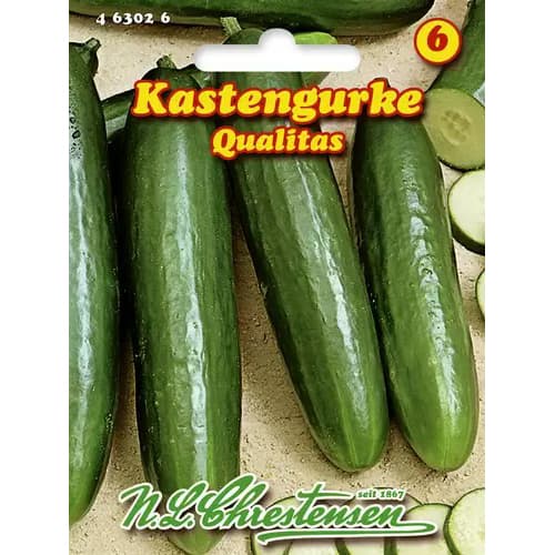 1 szt, Kastengurke Qualitas - Samen: Ilość w opakowaniu: 1 Stück