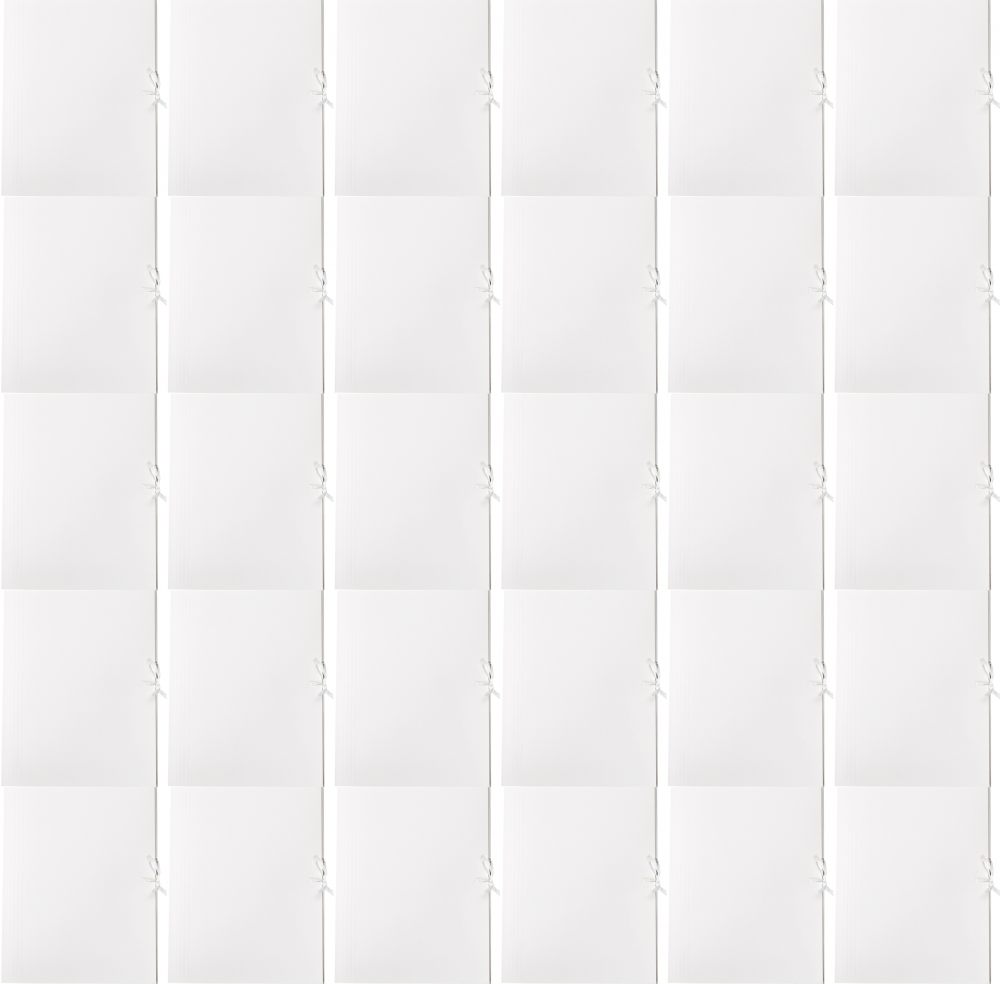 30x Teczka wiązana Lux Barbara, A4, kartonowa, 250g/m2, 20mm, biały