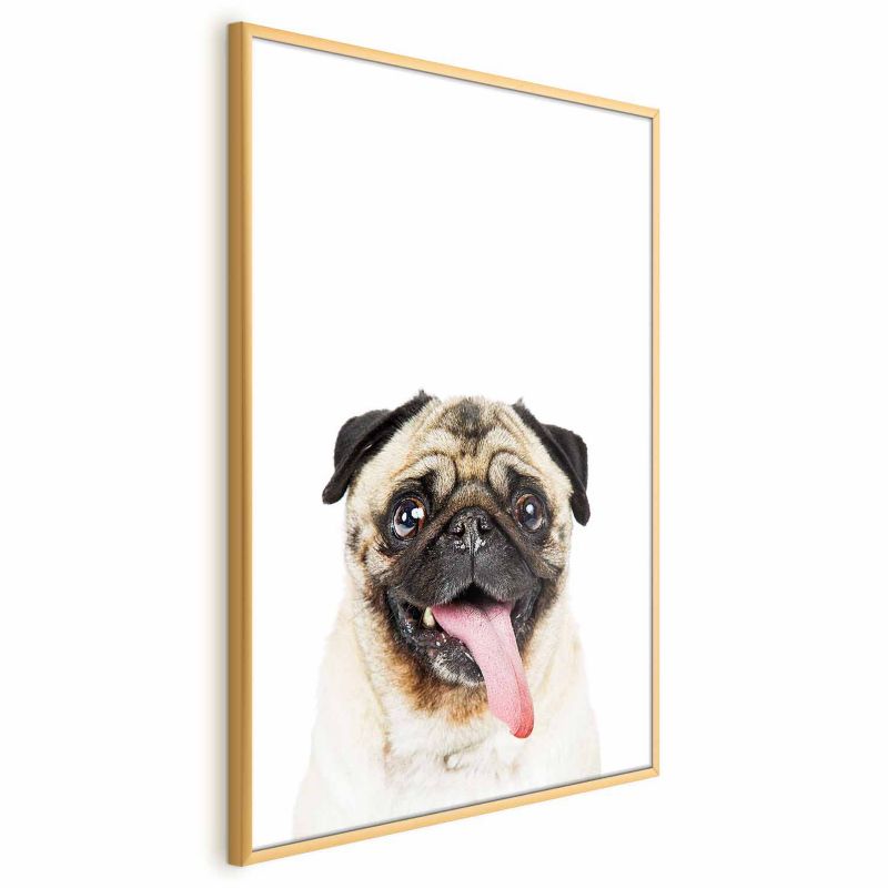 Plakat Artgeist Mops 29,7x42 cm z ramą złotą 1 szt