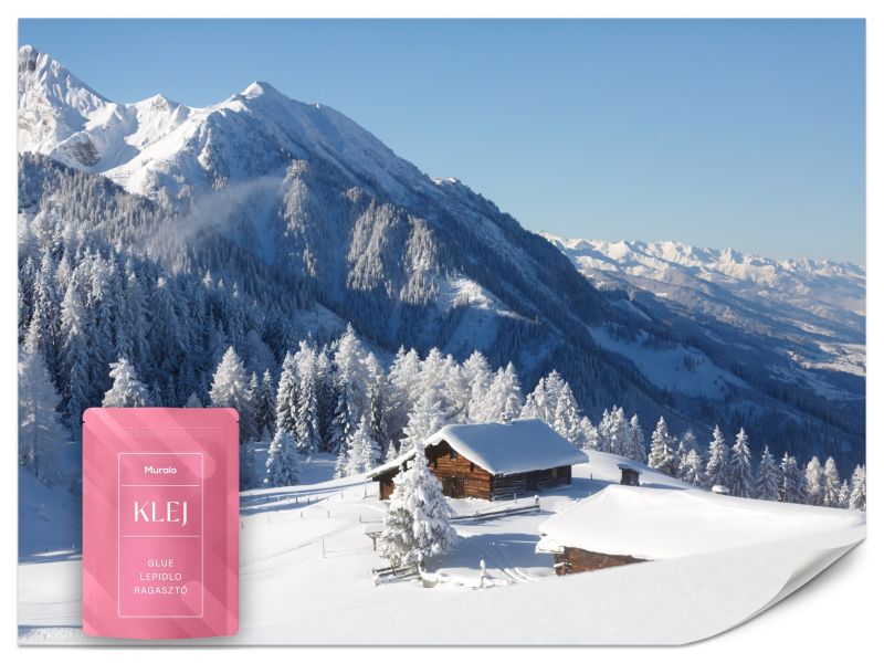 Fototapeta Muralo Zima w Górach 450x315 cm 1szt.