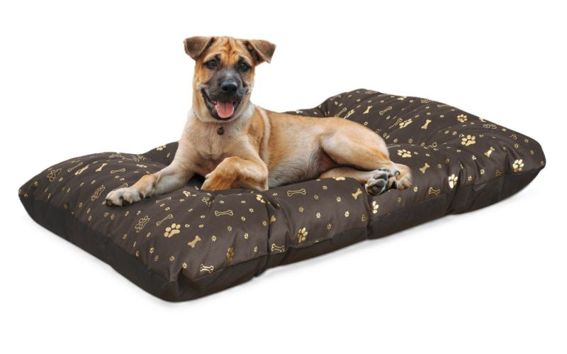 Legowisko dla psa poduszka Aio Factory PRESTIGE wodoodporna wzór kości złote 80x60 cm 1szt