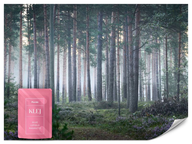 Fototapeta Muralo Las we Mgle Natura 200x140 cm 1szt.