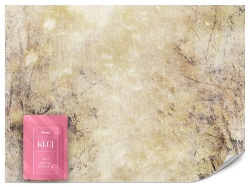 Fototapeta Muralo Abstrakcja Mural Ściana 500x350 cm 1szt.