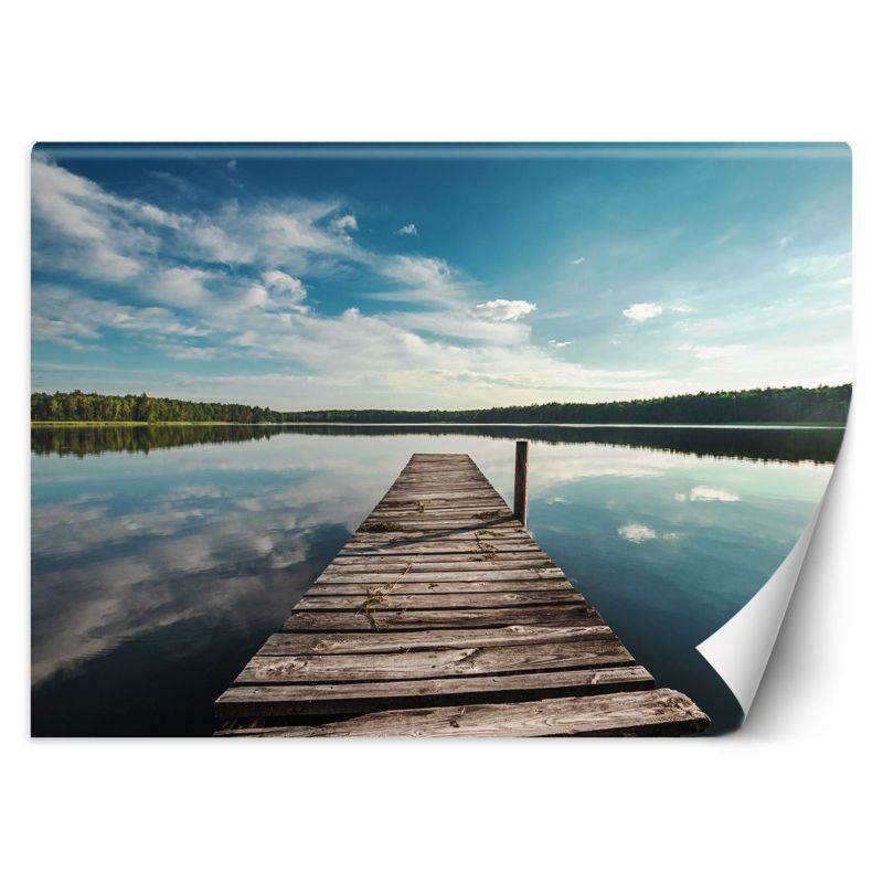 Fototapeta Feeby Widok z pomostu na jezioro i las 200x140 1 szt