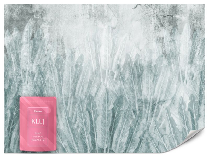 Fototapeta Muralo Liście Bananowca Na Betonie Loft 300x210 cm 1szt.