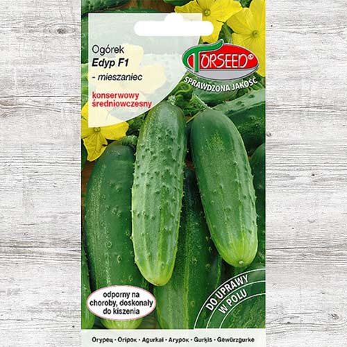 1 szt, Ogórek Edyp F1 - Nasiona: Ilość w opakowaniu: 5 g