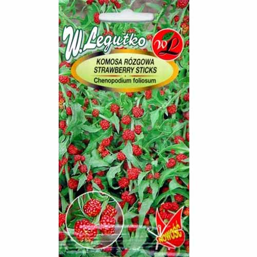 1 szt, Komosa rózgowa Legutko - Nasiona: Ilość w opakowaniu: 0.1 g