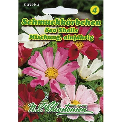 1 kus, Krásenka Sea Shells, směs - : Monžstvo balíkov: 1 kus