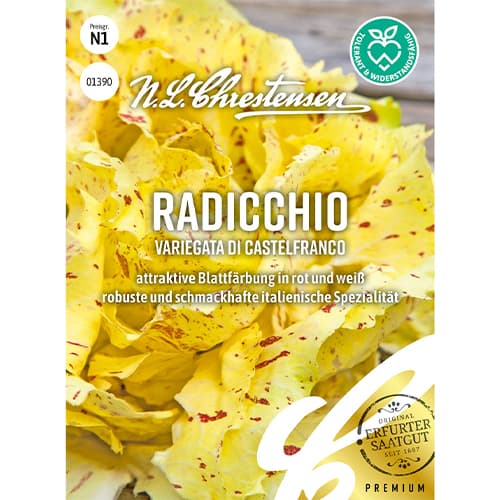 1 szt, Radicchio Variegata di Castelfranco - Samen: Ilość w opakowaniu: 1 Stück