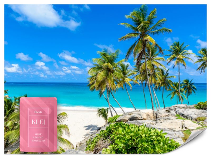 Fototapeta Muralo Rajska Plaża Krajobraz Tropikalny 400x280 cm 1szt.