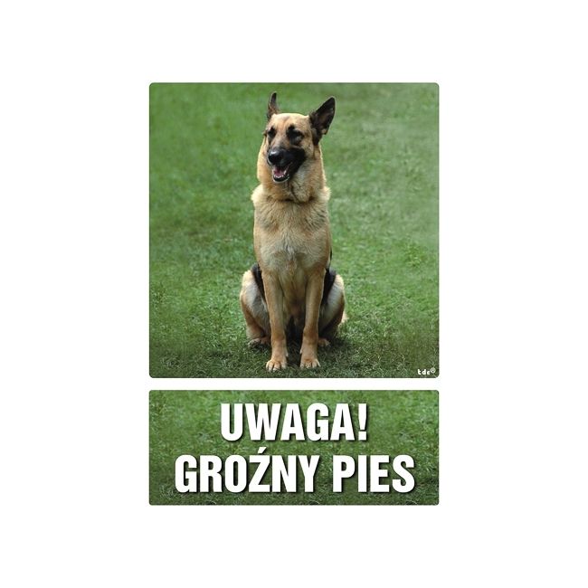 Znak Groźny pies mały