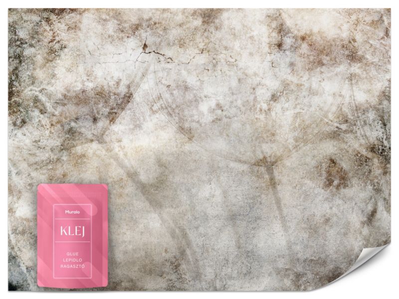 Fototapeta Muralo Dmuchawce Betonowa Ściana 250x175 cm 1szt.