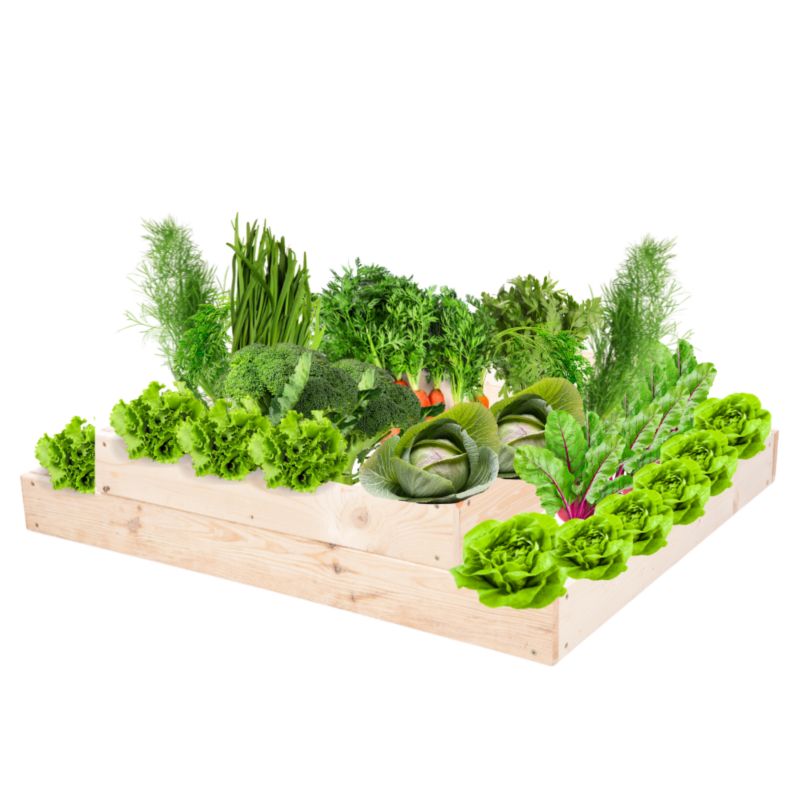 Skrzynia warzywna MODO24 regulowana inspekt 18x90x60 cm przezroczyste impregnowane drewno 1 szt