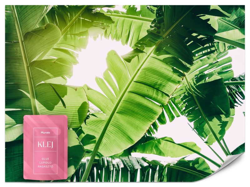 Fototapeta Muralo Liście Bananowe Tropikalna Natura 350x256 cm 1szt.