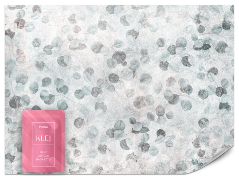 Fototapeta Muralo Szare Liście Eukaliptusa 300x210 cm 1szt.