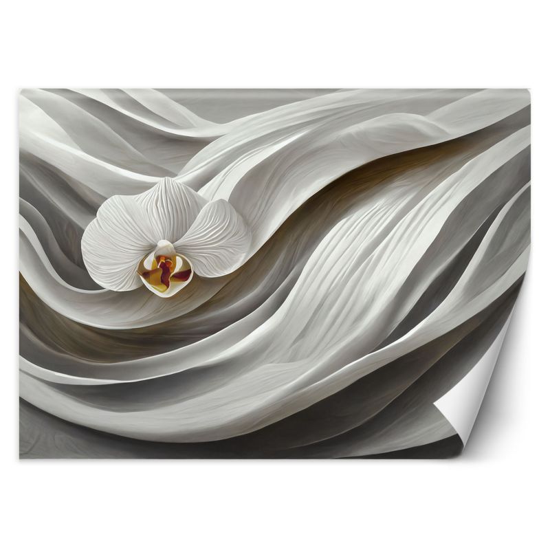 Fototapeta Feeby Biały storczyk i abstrakcja 3D 150x105 1 szt