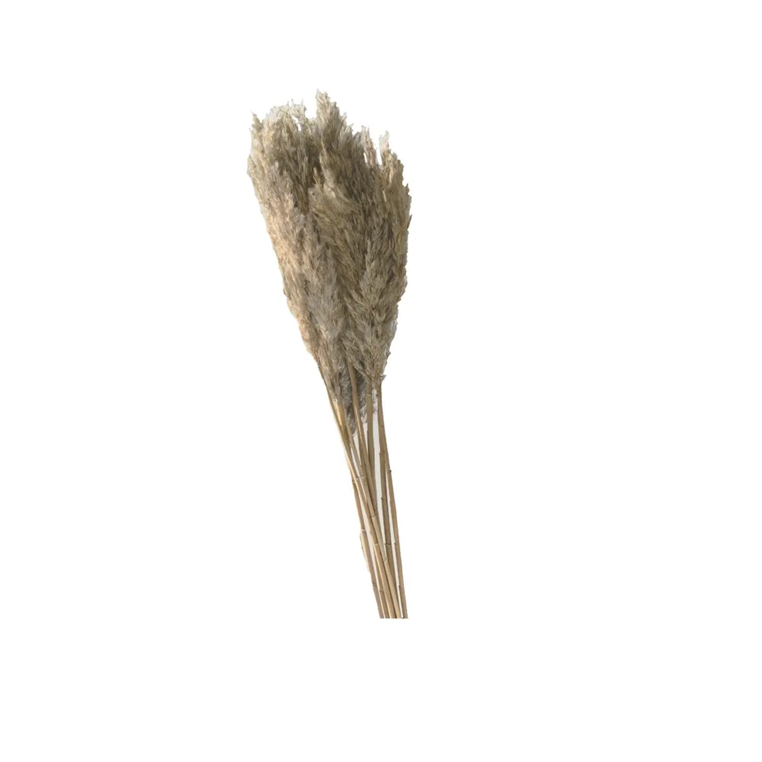 Trawa sztuczna Plume 80-90cm 12-14szt naturalna 70g