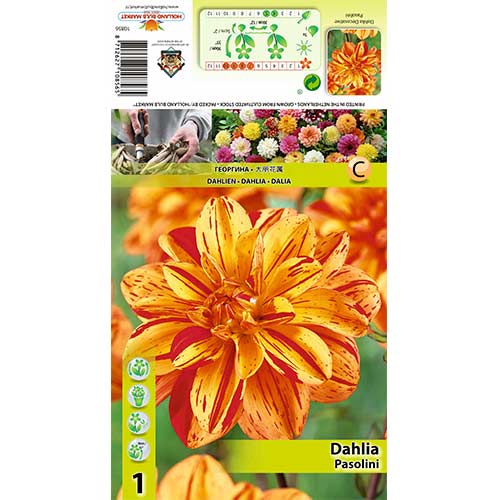 1 kus, Jiřina Pasolini - : Monžstvo balíkov: 1 kus