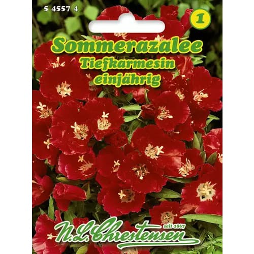 1 szt, Klárcsi Deep Crimson - Magok: Mod de ambalare: 1 db