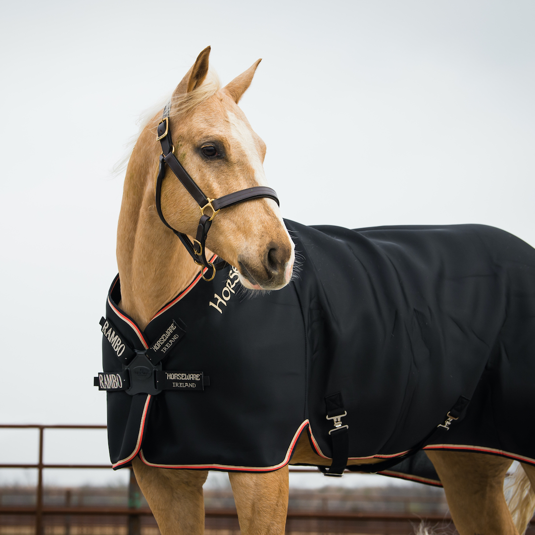 Horseware Horseware derka osuszająca Rambo Airmax Cooler z dyskiem 24h