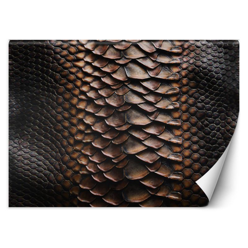 Fototapeta Feeby Skóra węża 200x140 1 szt