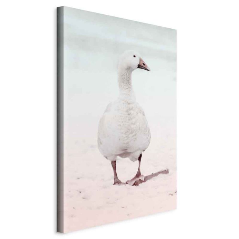Obraz Artgeist Zimowa kaczuszka 20 x 30 cm płótno włoskie 1 szt