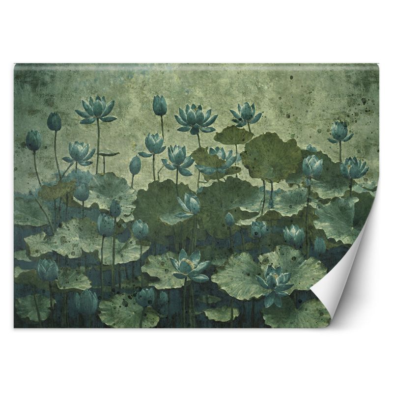 Fototapeta Feeby Kwitnące zielone lilie wodne 100x70 1 szt